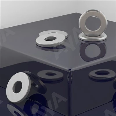SS Plain Washer